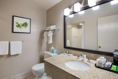 a bathroom with a sink and a toilet and a mirror at Best Western New Oregon Motel in Eugene