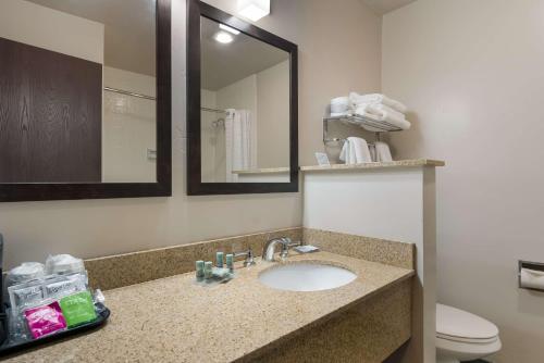 a bathroom with a sink and a toilet and a mirror at Best Western New Oregon Motel in Eugene