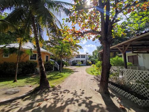 een onverharde weg voor een huis met palmbomen bij Cocotal Inn and Cabanas in San Pedro