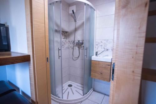 La salle de bains est pourvue d'une douche et d'un lavabo. dans l'établissement Holiday home in Sentvid pri Sticni - Zentralslowenien 43927, à Šentvid pri Stični