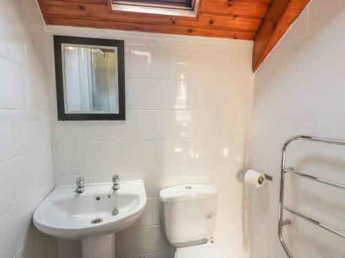 a white bathroom with a toilet and a sink at Crinan Canal Cottage in Lochgilphead