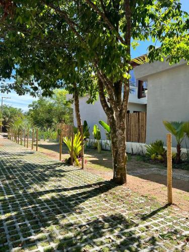 a tree on the side of a brick road at Barra Grande, Maraú, Casa 5 in Marau