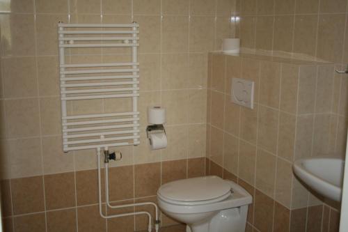 a bathroom with a toilet and a sink at Budget Hotel Vrouwenpolder in Vrouwenpolder