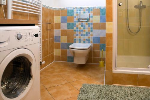 a bathroom with a washing machine and a toilet at Růžová chalupa u Šimánků in Rtyně v Podkrkonoší
