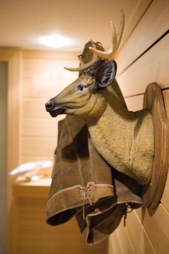 ホテルの敷地内または近くにいる動物