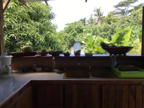eine Küchentheke mit Spüle und einigen Pflanzen in der Unterkunft Pension Te Aroha - Te Haumaru in Maatea