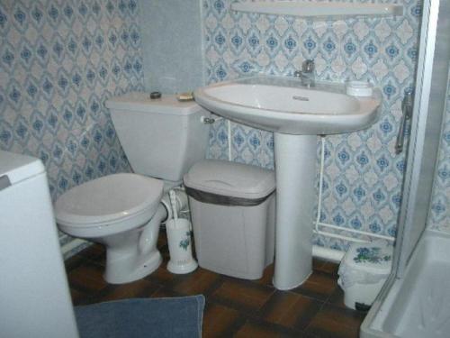 łazienka z toaletą i umywalką w obiekcie Charmant studio avec loggia vitrée et parking à 400m du centre - Animaux bienvenus - FR-1-703-75 w mieście Amélie-les-Bains-Palalda