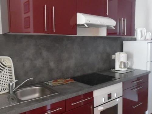 une cuisine avec des armoires rouges, un évier et un réfrigérateur dans l'établissement Appartement F2 spacieux avec loggia et garage à 500m des Thermes - 4 couchages, animaux acceptés - FR-1-703-91, à Amélie-les-Bains-Palalda