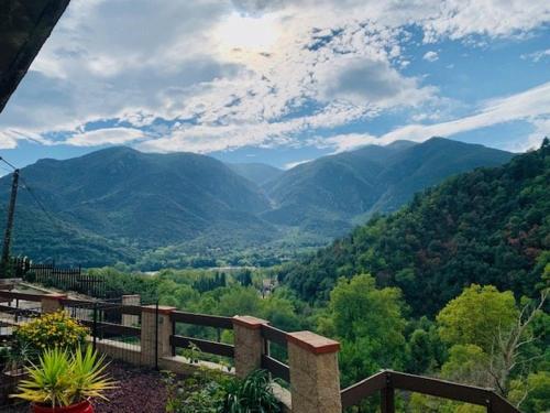 Appartement Confortable en Pleine Nature à Arles-sur-Tech - Parking et Animaux Acceptés - FR-1-703-99