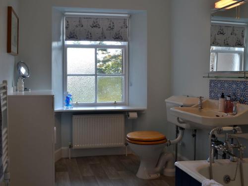 a bathroom with a toilet and a sink and a window at Craigellie in Alyth