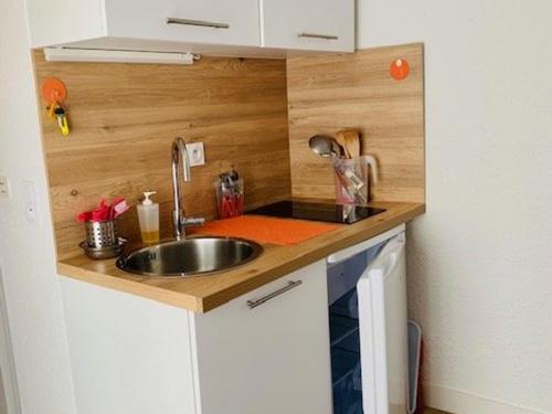 une petite cuisine avec un évier et un comptoir dans l'établissement Studio cosy au centre-ville avec Wi-Fi, animaux admis - FR-1-703-139, à Amélie-les-Bains-Palalda
