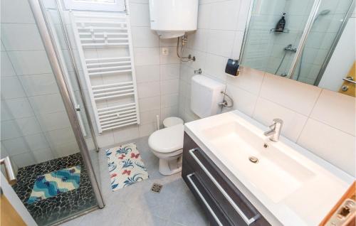 ein Badezimmer mit einem Waschbecken, einem WC und einem Spiegel in der Unterkunft Amazing Apartment In Ogulin With 2 Bedrooms And Wifi in Jasenak