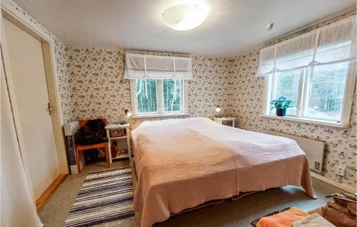 1 dormitorio con 1 cama y 2 ventanas en 5 Bedroom Pet Friendly Home In Strmsnsbruk, en Strömsnäsbruk