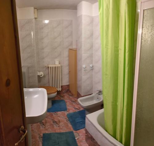 baño con cortina de ducha verde y aseo en Casa Vacanze Anilla&Miotto, en Montjovet