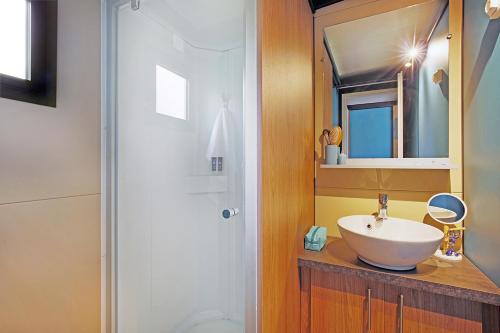 uma casa de banho com um lavatório e um espelho em RAS L'BOL em Olmeto