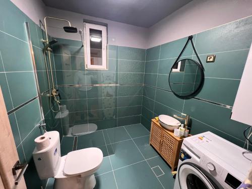 a bathroom with a toilet and a shower and a washing machine at Green Home in Miercurea-Ciuc
