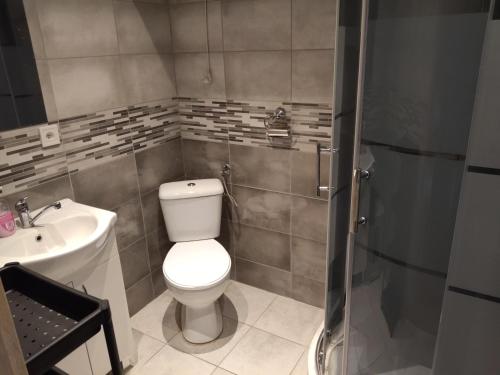 a bathroom with a toilet and a sink at Apartamenty Dominik in Wiele