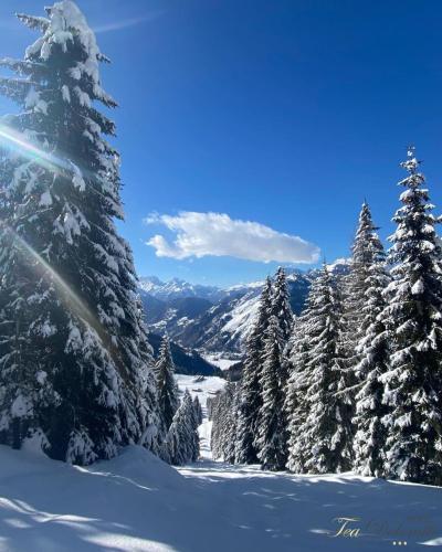 a snow covered forest with snow covered trees and mountains at Hotel TEA DOLOMITI - Lago di Alleghe - Monte Civetta in Alleghe