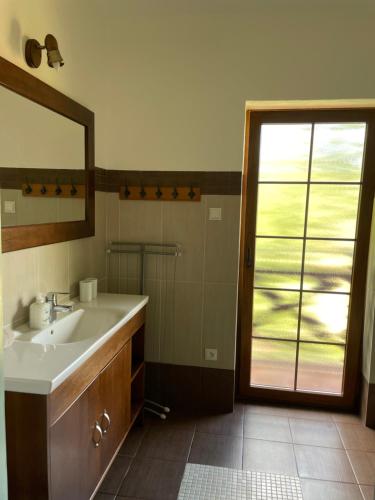 a bathroom with a sink and a mirror and a window at Zaciszne Apartamenty in Poddąbie