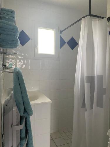 a bathroom with a shower curtain and a sink at Les Lavandières in Saint-Hilaire-la-Palud