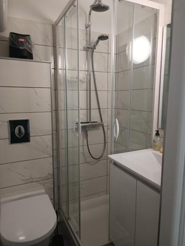 une salle de bain avec une douche, des toilettes et un lavabo dans l'établissement Joli studio res au calme en rez de jardin à Bandol., à Bandol