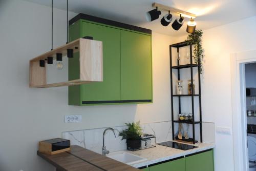 een keuken met groene kasten en een wastafel bij Sunny Woods Apartment in Divčibare