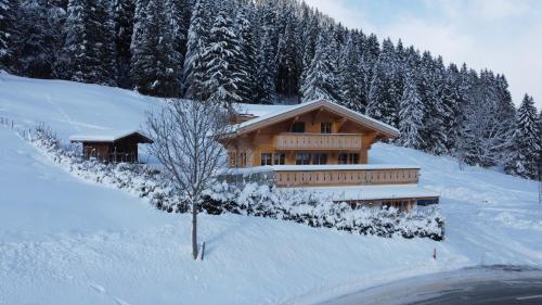 una cabaña de madera en la nieve con un árbol en Chalet mit Kino und Jacuzzi in Gsteig b. Gstaad, en Gsteig