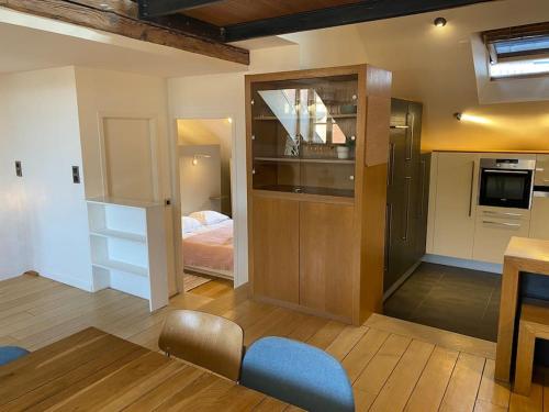 Il comprend un salon avec une cuisine et une chambre. dans l'établissement Annecy City, au cœur de la vieille ville, à Annecy