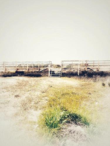 Foto dalla galleria di Simpatico appartamento autonomo sul mare a Termoli