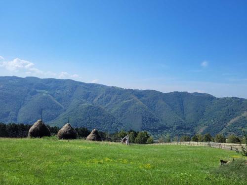 a field with hay in a field with mountains in the background at Mateo Transalpina in Săsciori
