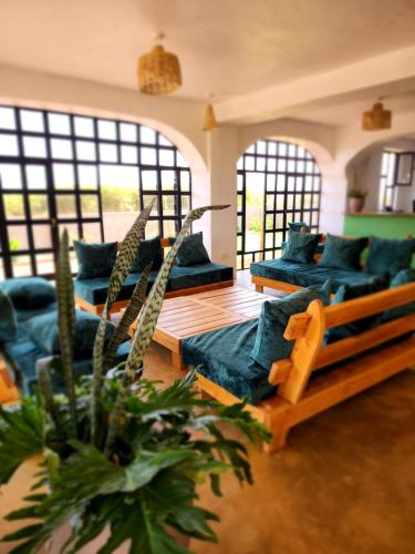 a living room with blue couches and a plant at Heart and Soul Lodge in Karatu
