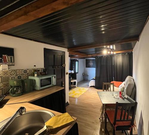 una cucina e un soggiorno con lavandino e tavolo di Le Clos de l'Olivier ad Alès