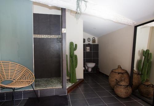 une salle de bain avec douche et un cactus dans l'établissement LA CAVERIE DE PEYROUX A ORTHEVIELLE (40300), à Orthevielle