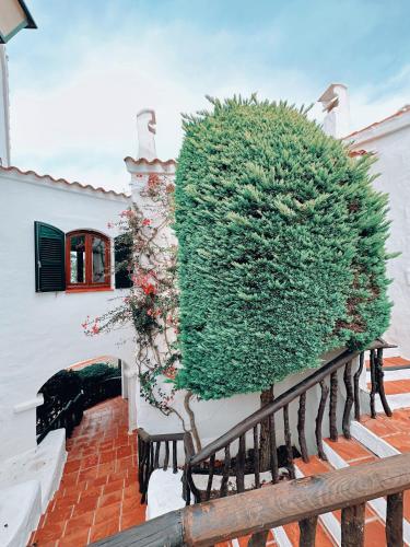 アス・マルカダルにあるSa caseta de Fornellsのギャラリーの写真