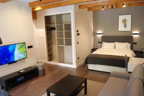 a bedroom with a bed and a tv and a couch at Altar Suites Caño Badillo by gaiarooms in León