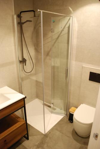 a bathroom with a shower and a toilet at Altar Suites Caño Badillo by gaiarooms in León