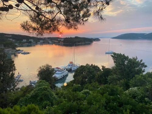 Gallery image of Apartements and rooms next to the Sea - Belveder Rab Sea and Sunset wiew in Rab