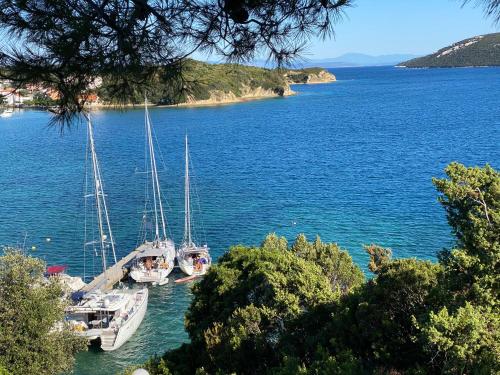 Gallery image of Apartements and rooms next to the Sea - Belveder Rab Sea and Sunset wiew in Rab