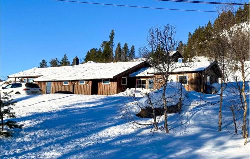 3 Bedroom Gorgeous Home In Bykle durante el invierno