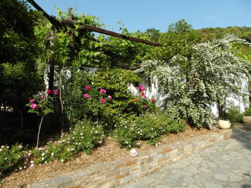 Κήπος έξω από το Ferienhaus Balkoni