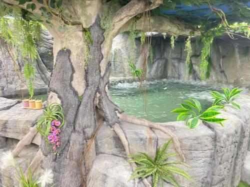 un árbol frente a una piscina de agua en Futurotel Space Spa Garden, en Granada