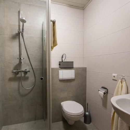 a bathroom with a shower and a toilet and a sink at Pension Oppelt in Rauhenebrach