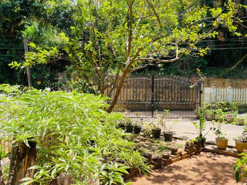 Un jardín con muchas plantas y una valla. en Unique Villa, en Kandy