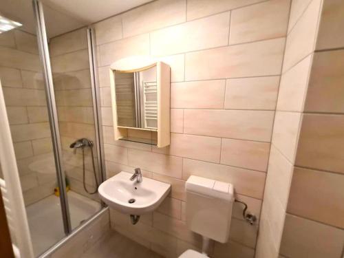 La salle de bains est pourvue d'un lavabo, de toilettes et d'une douche. dans l'établissement Spacious Holiday Home in Bärenstein with Garden, à Bärenstein