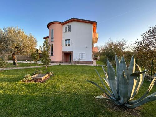 a large plant in front of a house at Casa Giò in Ariano Irpino