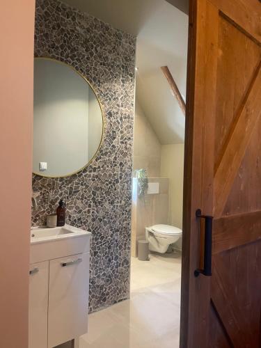 ein Badezimmer mit einem Waschbecken, einem Spiegel und einem WC in der Unterkunft Zeer sfeervol gastenverblijf in Het Molenhuisje met woonkamer en keuken in Winschoten
