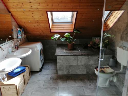 a bathroom with a sink and a toilet and a window at Ferienwohnung Zum Moor in Monschau