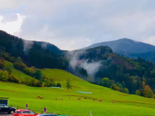a green field with horses on a mountain at Ferienwohnung in Aflenz Kurort in Aflenz Kurort
