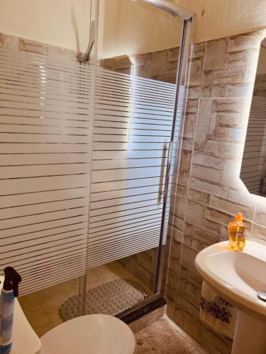 a bathroom with a shower and a toilet and a sink at IBN Khaldoon in Madaba