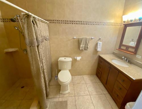 a bathroom with a toilet and a shower and a sink at Retiro de la Pasión Segundo in Destino